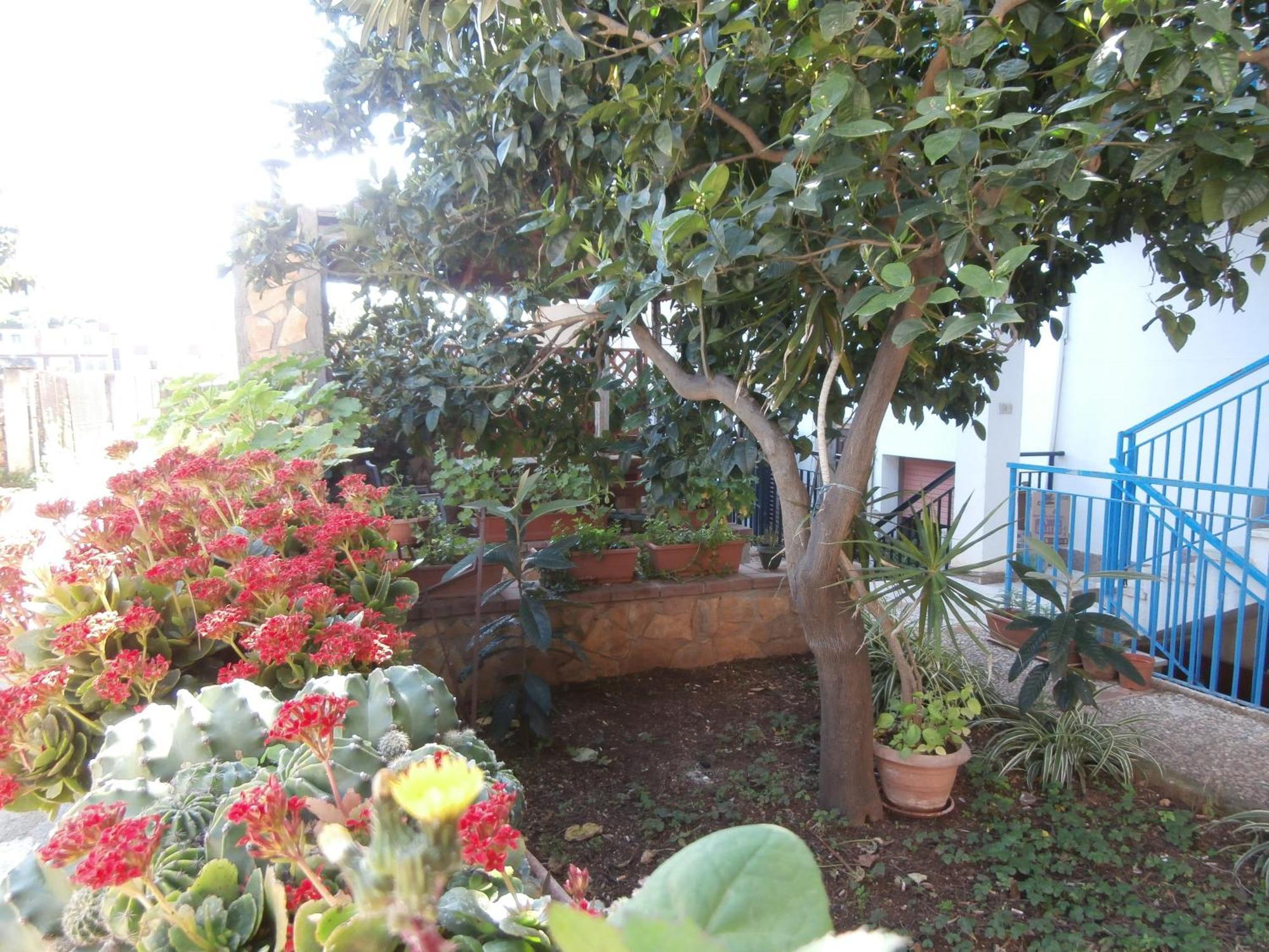 Bed & Breakfast Busalacchi